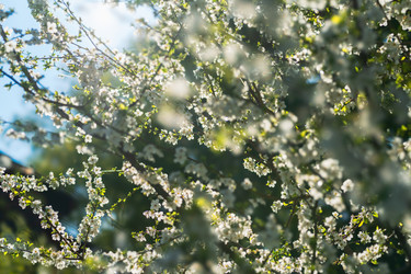 Similar image 21441518