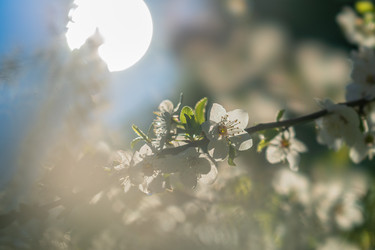 Similar image 21441520