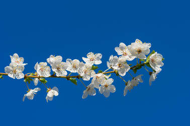 Similar image 21441522