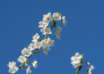 Similar image 21441524