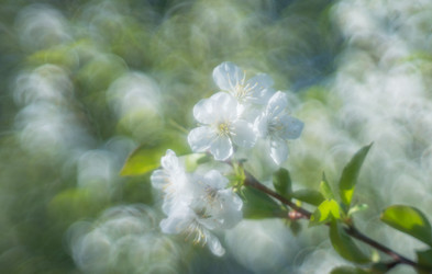 Similar image 21441526