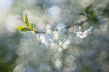 Similar image 21441528