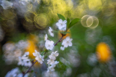 Similar image 21441530