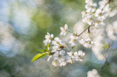 Similar image 21441532