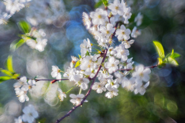 Similar image 21441538