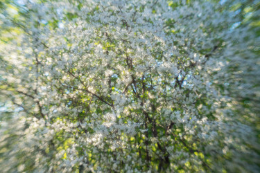 Similar image 21441743