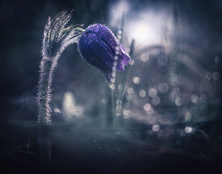 Similar image 21441745