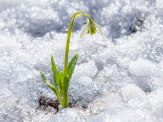 Similar image 21441747