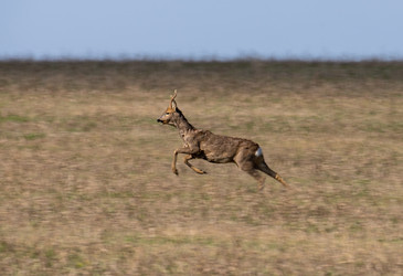 Similar image 21441755