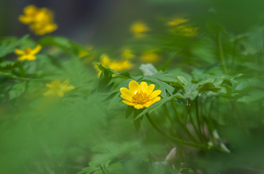 Similar image 21441758