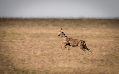 Similar image 21441918