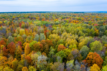 Similar image 21441921