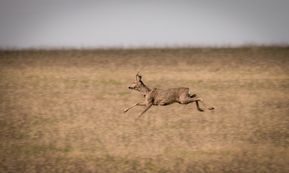 Similar image 21441923