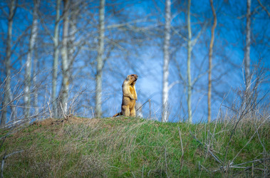 Similar image 21441927