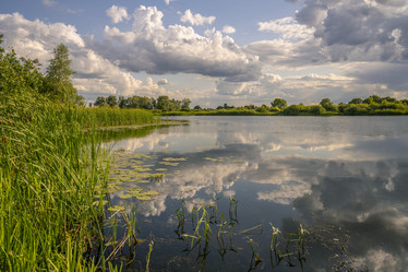 Similar image 21441929