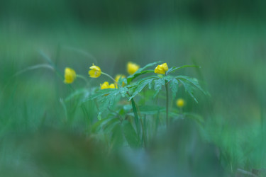 Similar image 21441930