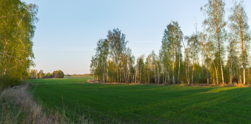 Similar image 21441932