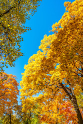 Similar image 21441938