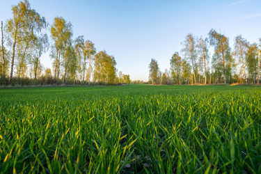 Similar image 21441939