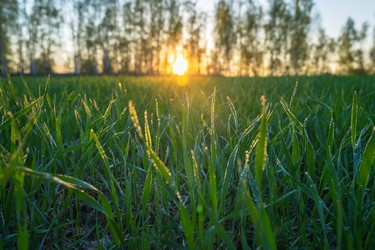 Similar image 21441940