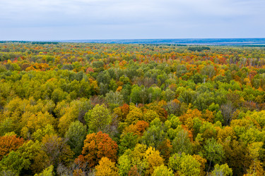 Similar image 21441941