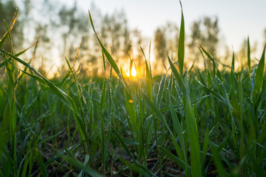 Similar image 21441944