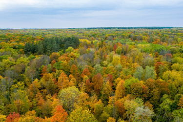 Similar image 21441945