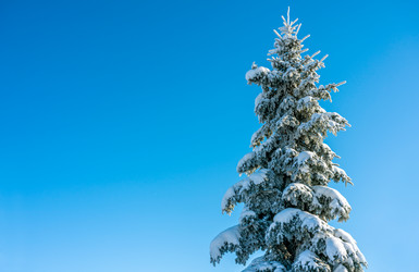 Similar image 21441946