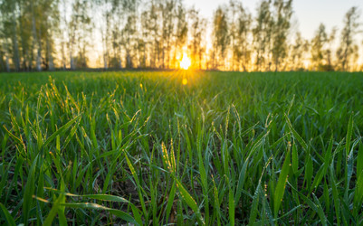 Similar image 21441947