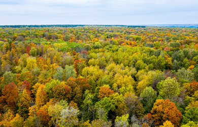 Similar image 21441949