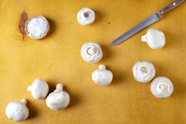 Similar image 21440162