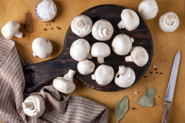 Similar image 21440163