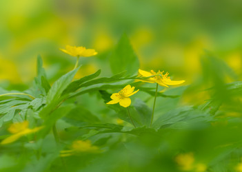 Similar image 21442388