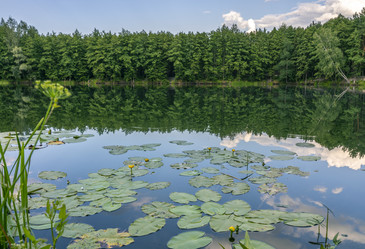 Similar image 21442400