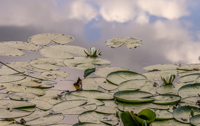 Similar image 21442402