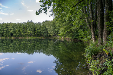 Similar image 21442406