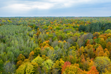 Similar image 21441628