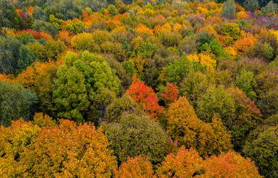 Similar image 21440986