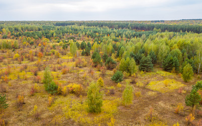 Similar image 21440989