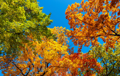 Similar image 21441004