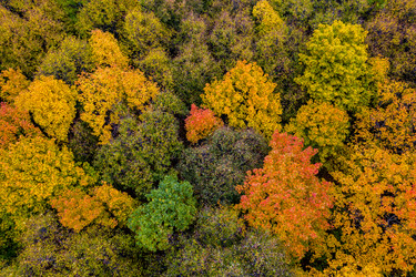 Similar image 21441005