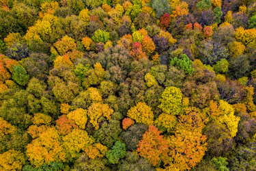 Similar image 21441006