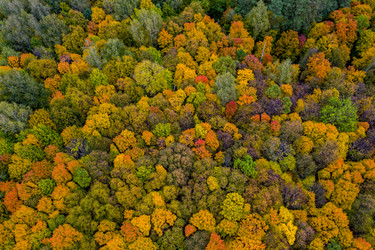 Similar image 21441139