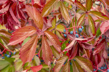 Similar image 21441141