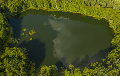 Similar image 21441142