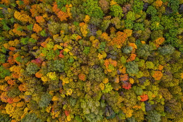 Similar image 21441143