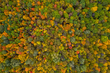 Similar image 21441144