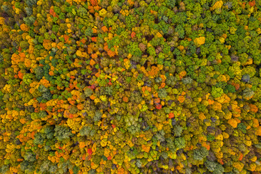 Similar image 21441147