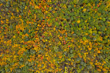 Similar image 21441148