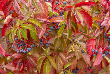 Similar image 21441149